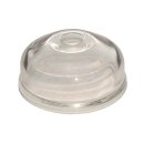 Schauglas für Delphi Feinfilter